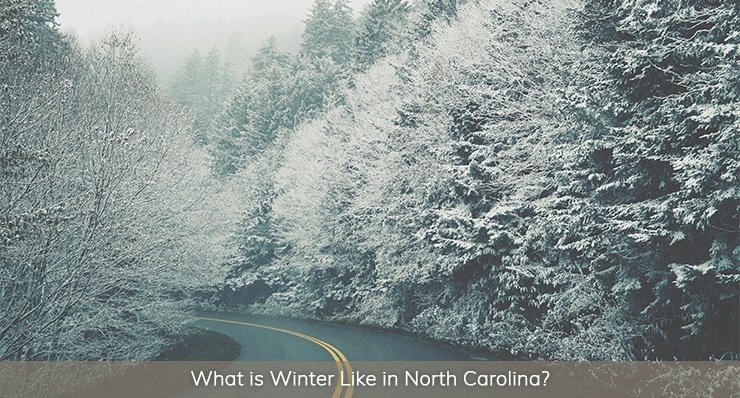 what is winter like in north carolina landmark realty group best place live experience all four seasons